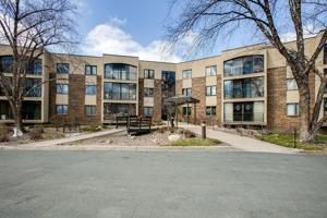 20 Windsor