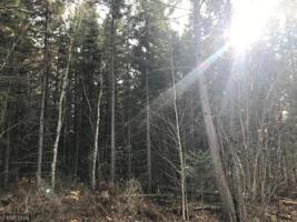 xx1 Hwy 33