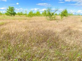 28035 County 2