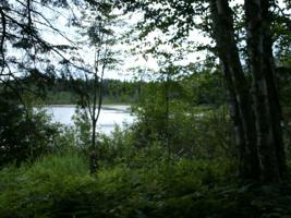 Tract 1 Powers Road