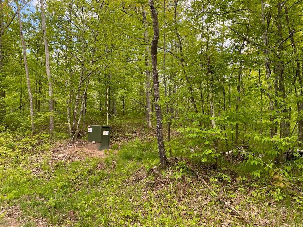 Image 1 Image 1