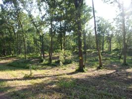 Lot 2 North Lake