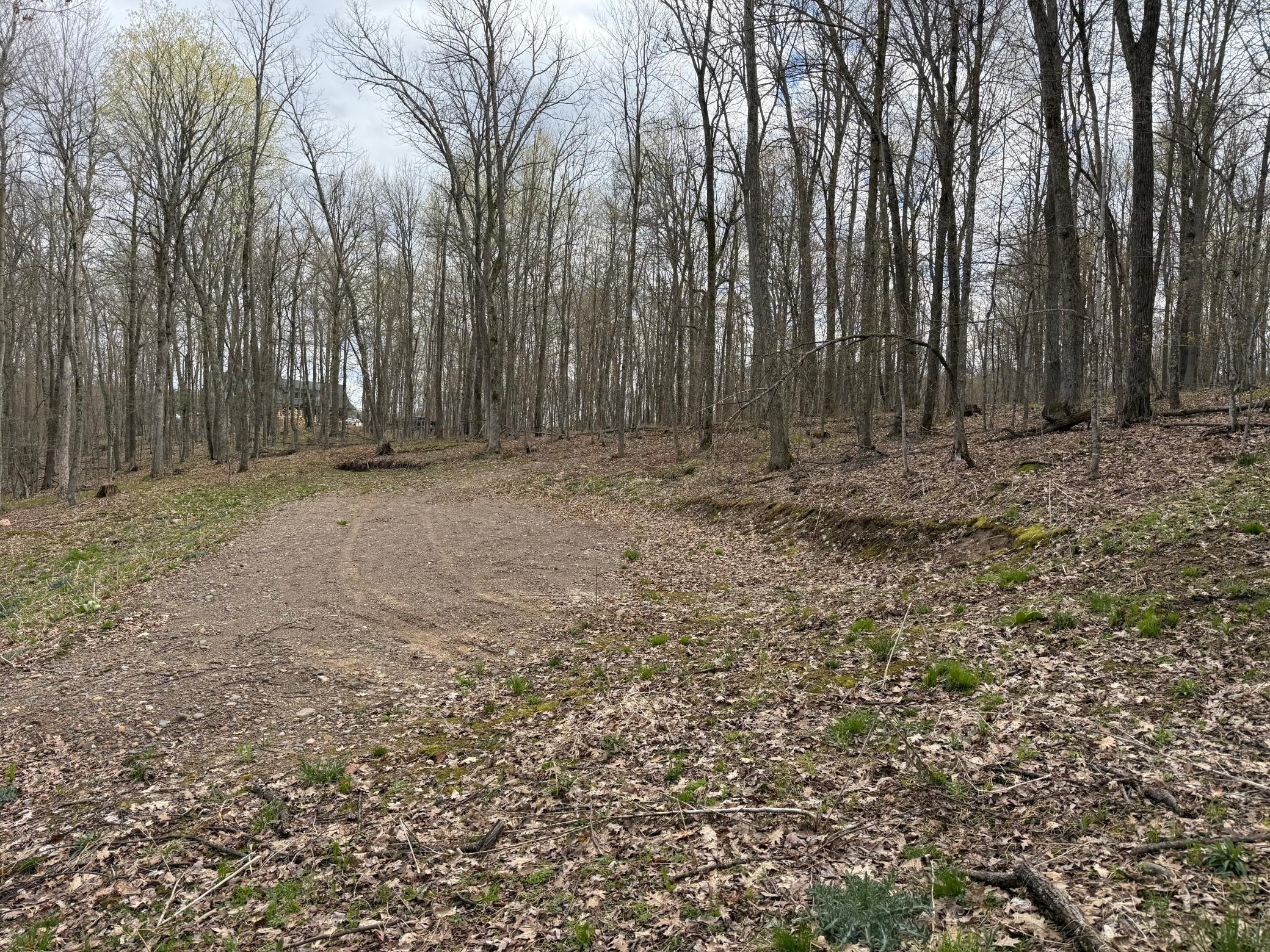 Image 4 Image 4