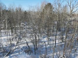 30689 State Highway 65
