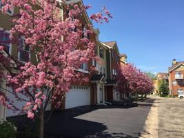 10289 Bleeker