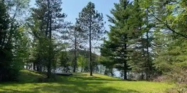 55113 Owen Lake