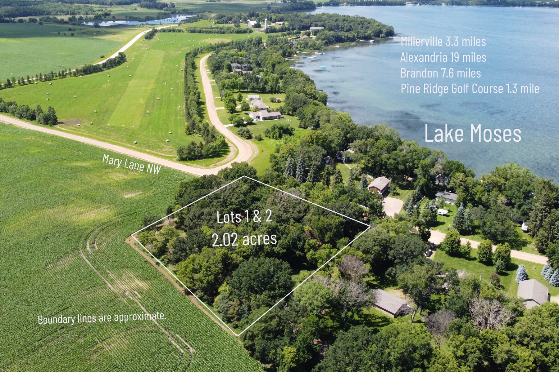 Image 1 Image 1