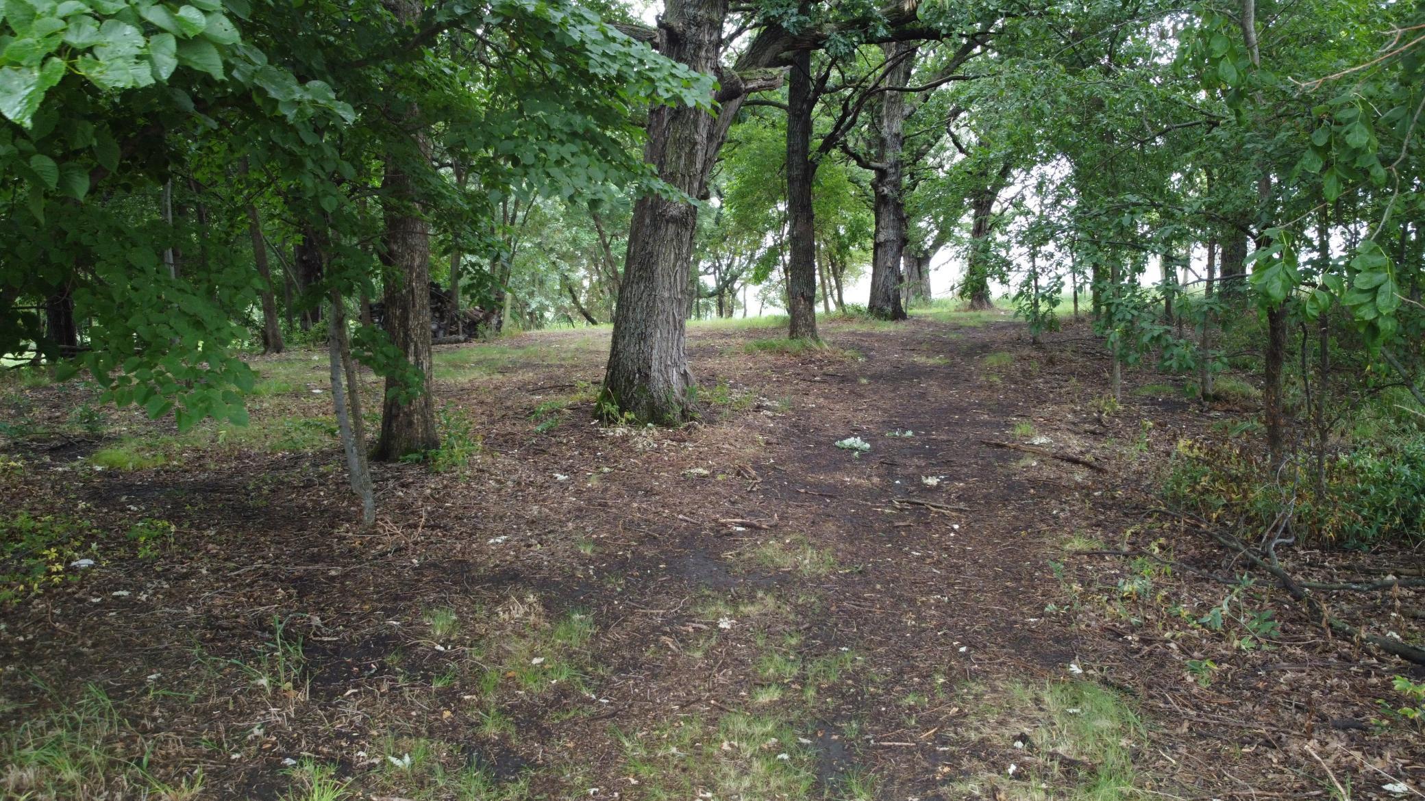 Image 4 Image 4