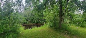 19933 State Hwy 65