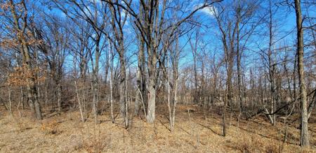 514XX Leaf River Road Tract C