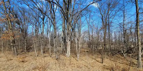 514XX Leaf River Road Tract C