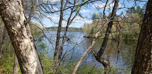TBD Gilbert Lake