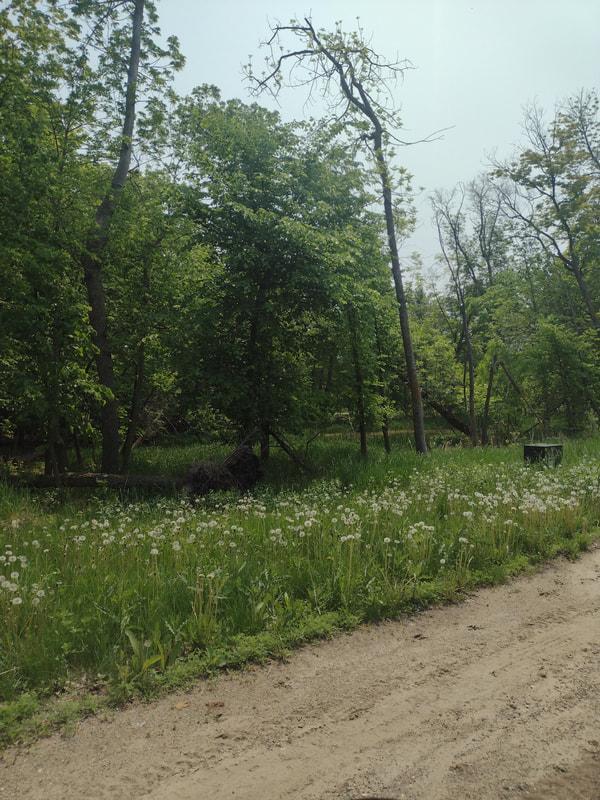 Image 1 Image 1