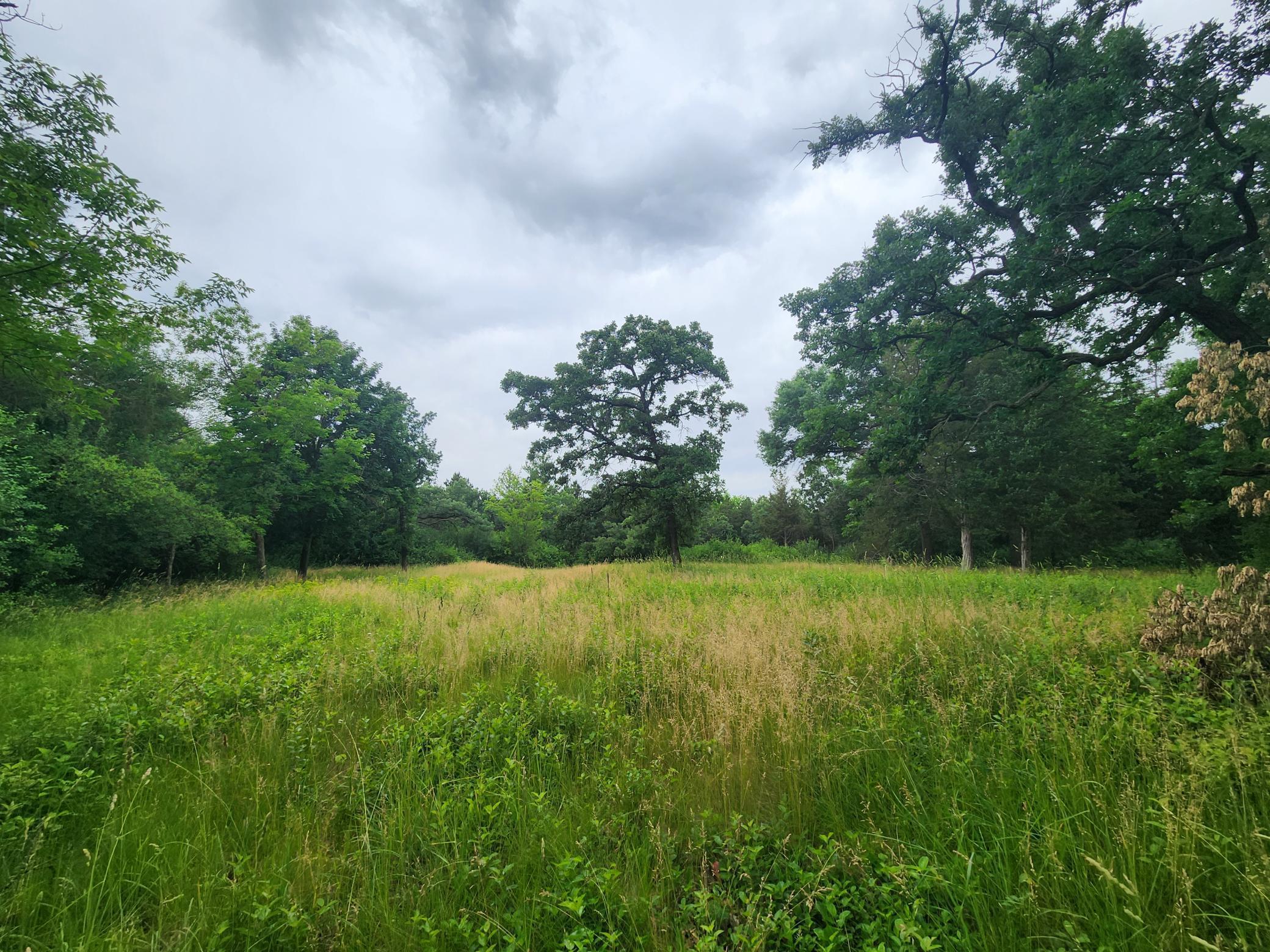 Image 4 Image 4