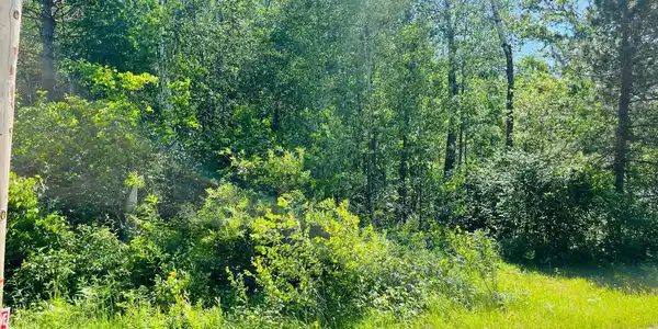 TBD Pineway Drive