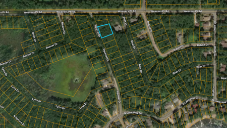 00000 Squirrel Drive