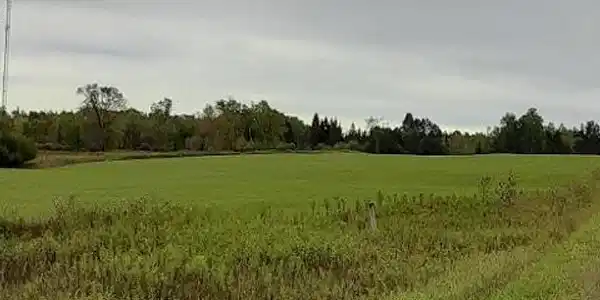 TBD County Road 125