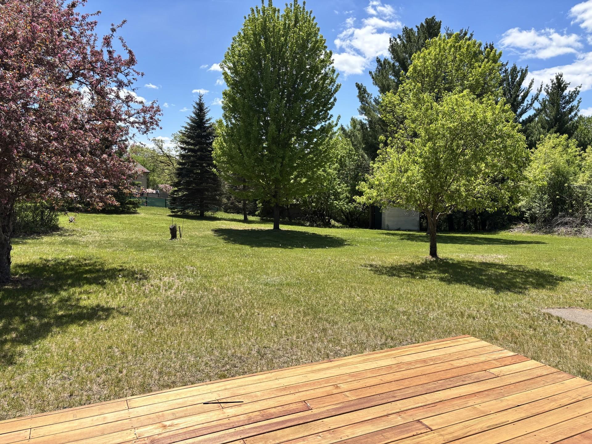 Image 4 Image 4