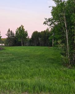 38093 County Road 45