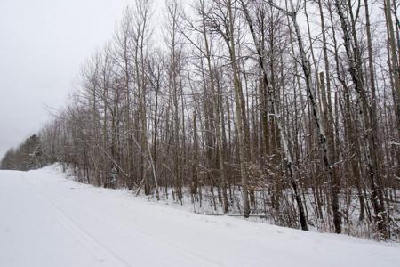 XXXX Sheridan Woods Lane NE