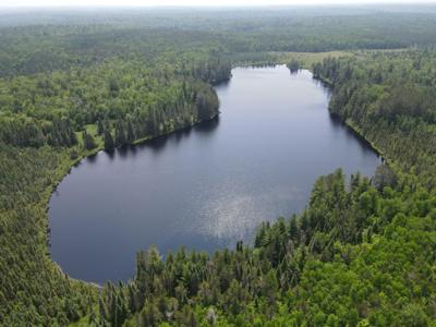 TBD Holm Logging Road