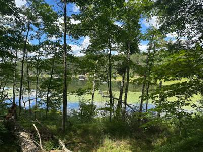 TBD White Pine Lane