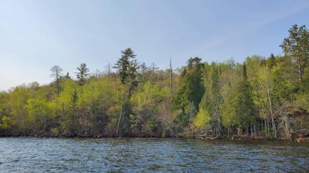 TBD Pine Island
