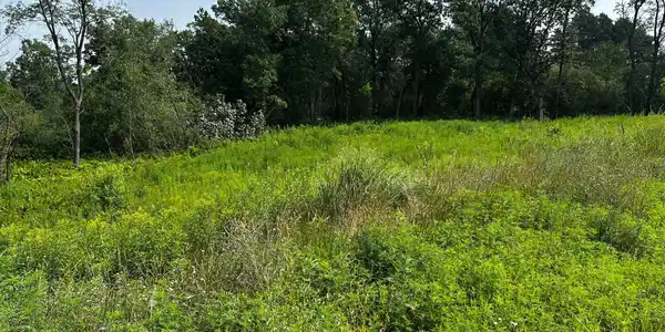 10 Pondview Trail