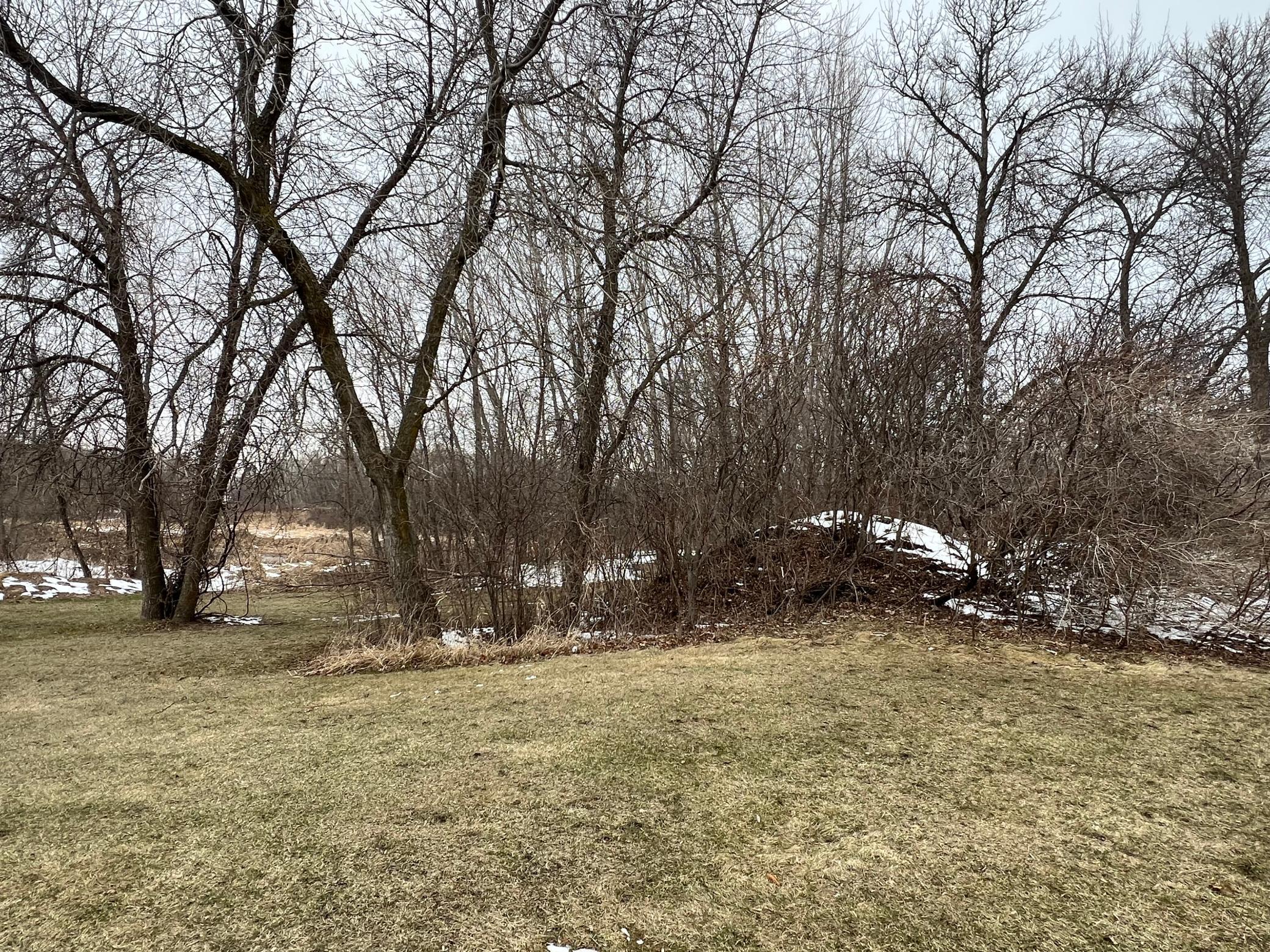 Image 4 Image 4