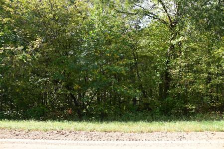 Lot 16 Pine Island Pt Dr