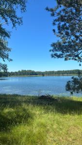 37363 Amen Lake Road