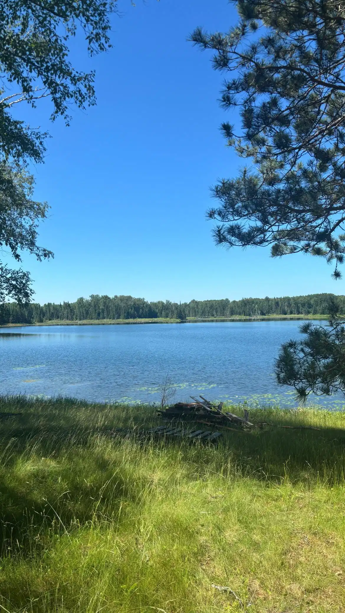 Image 1 Image 1