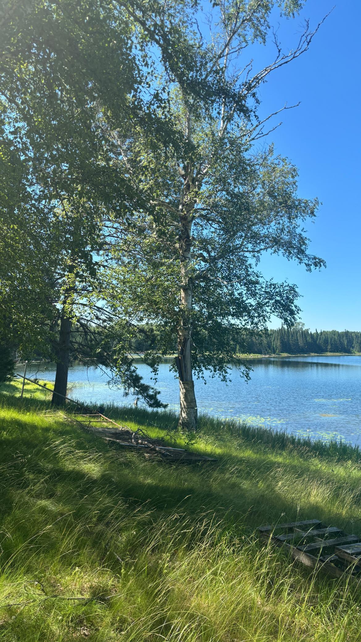 Image 4 Image 4