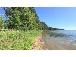 TBD-3 Pickerel Road