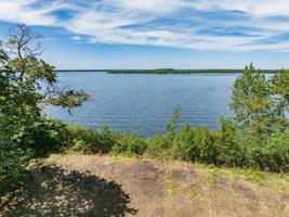 36231 Whitefish