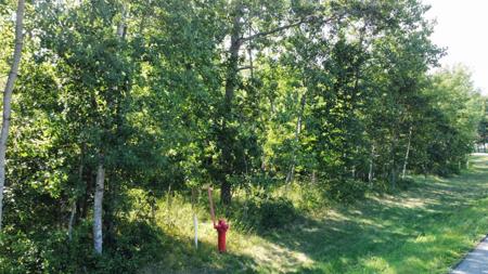 Lot 10 Block 1 Lynndale Drive N