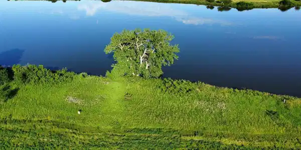 Image 2 Image 2