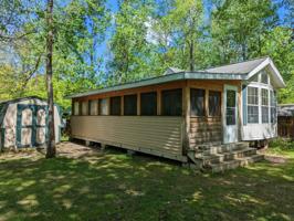 30667&30675 Whitebirch