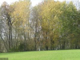 Lot 4 Rush Lake Trail
