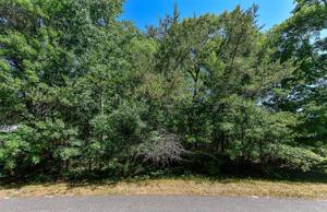 TBD Sorrel Oak Trail