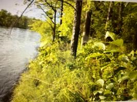 38497 Riverview