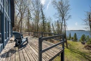 52859 Loon Feather