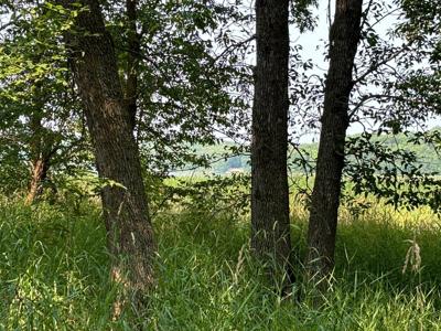 1250 Island Lake Resort Drive