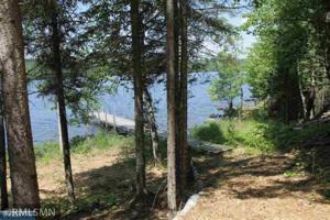 TBD Pine Island