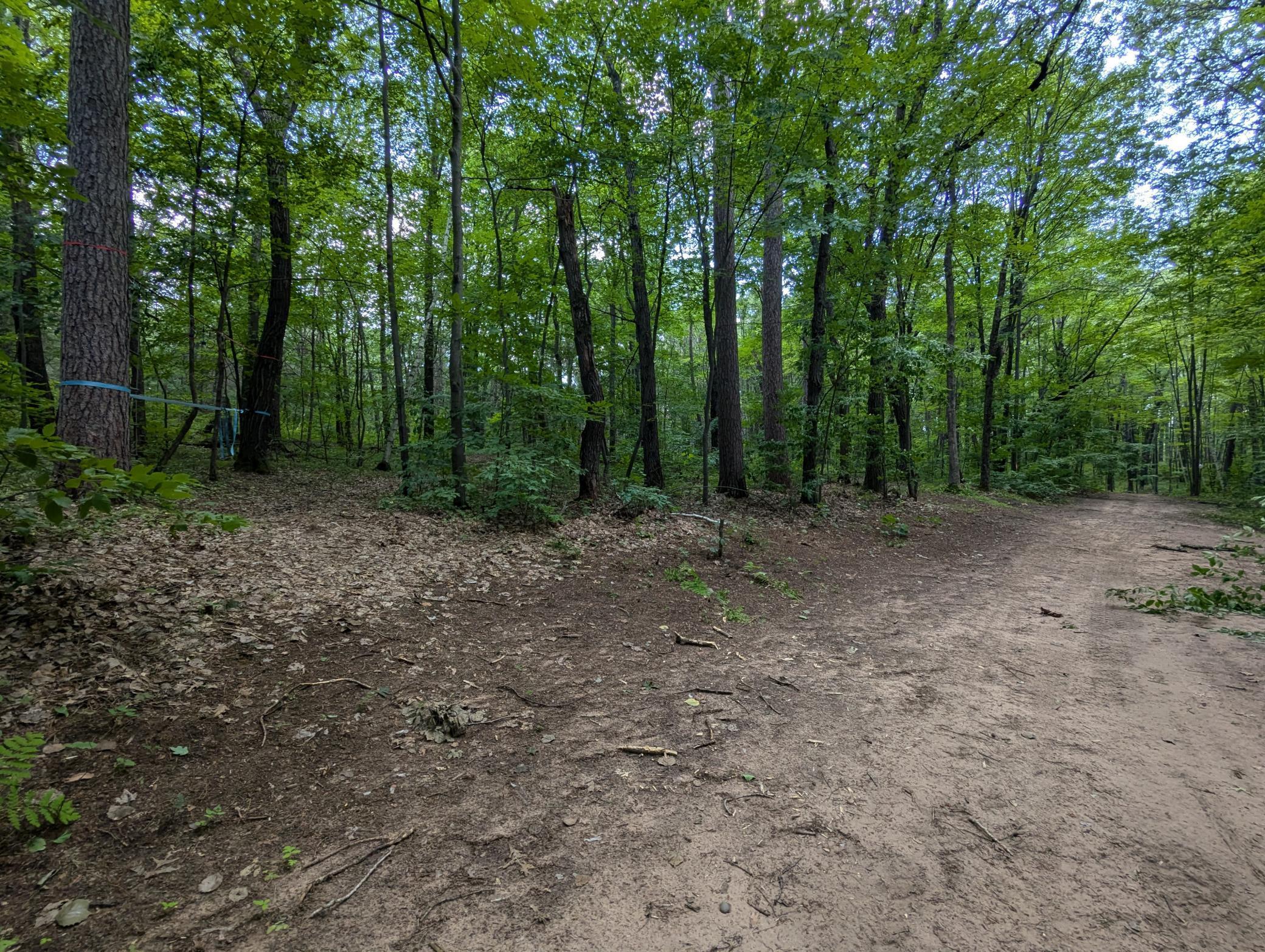 Image 3 Image 3