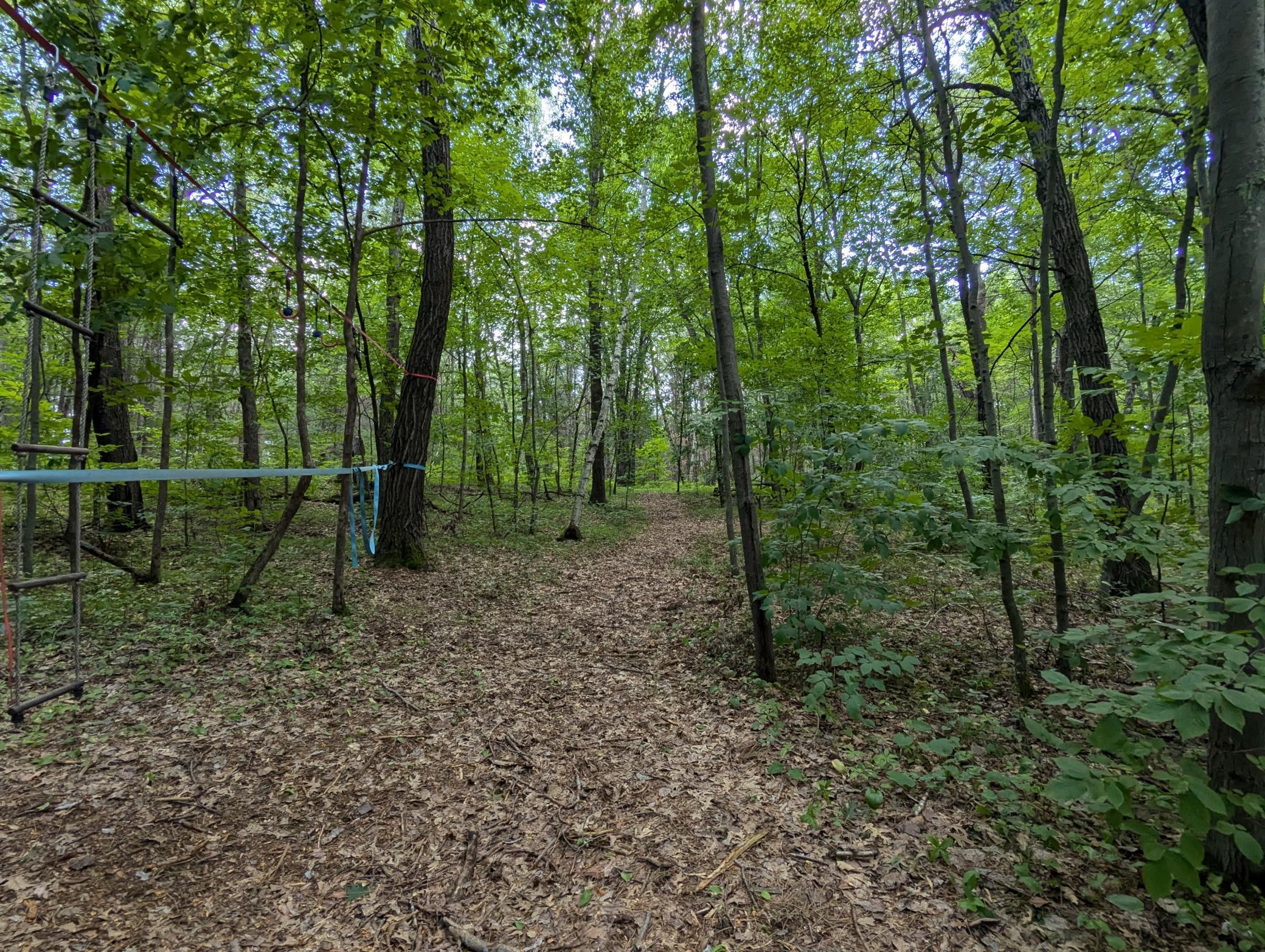 Image 4 Image 4