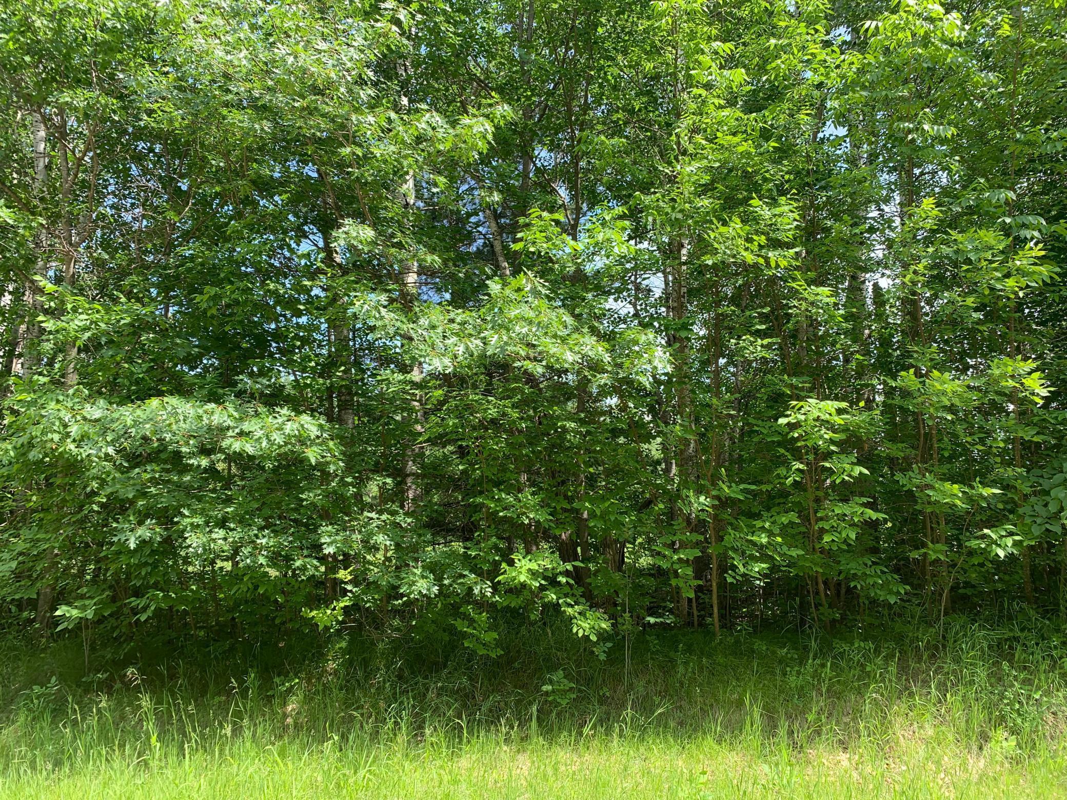 Image 4 Image 4