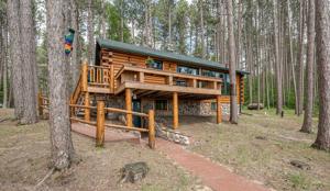 45201 Cutfoot Sioux Lk