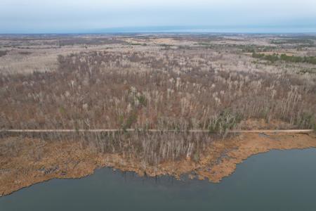 35394 Gulch Forest Trail W