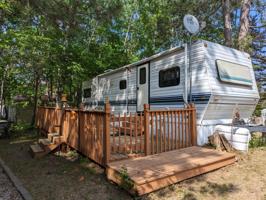 30024 Whitebirch